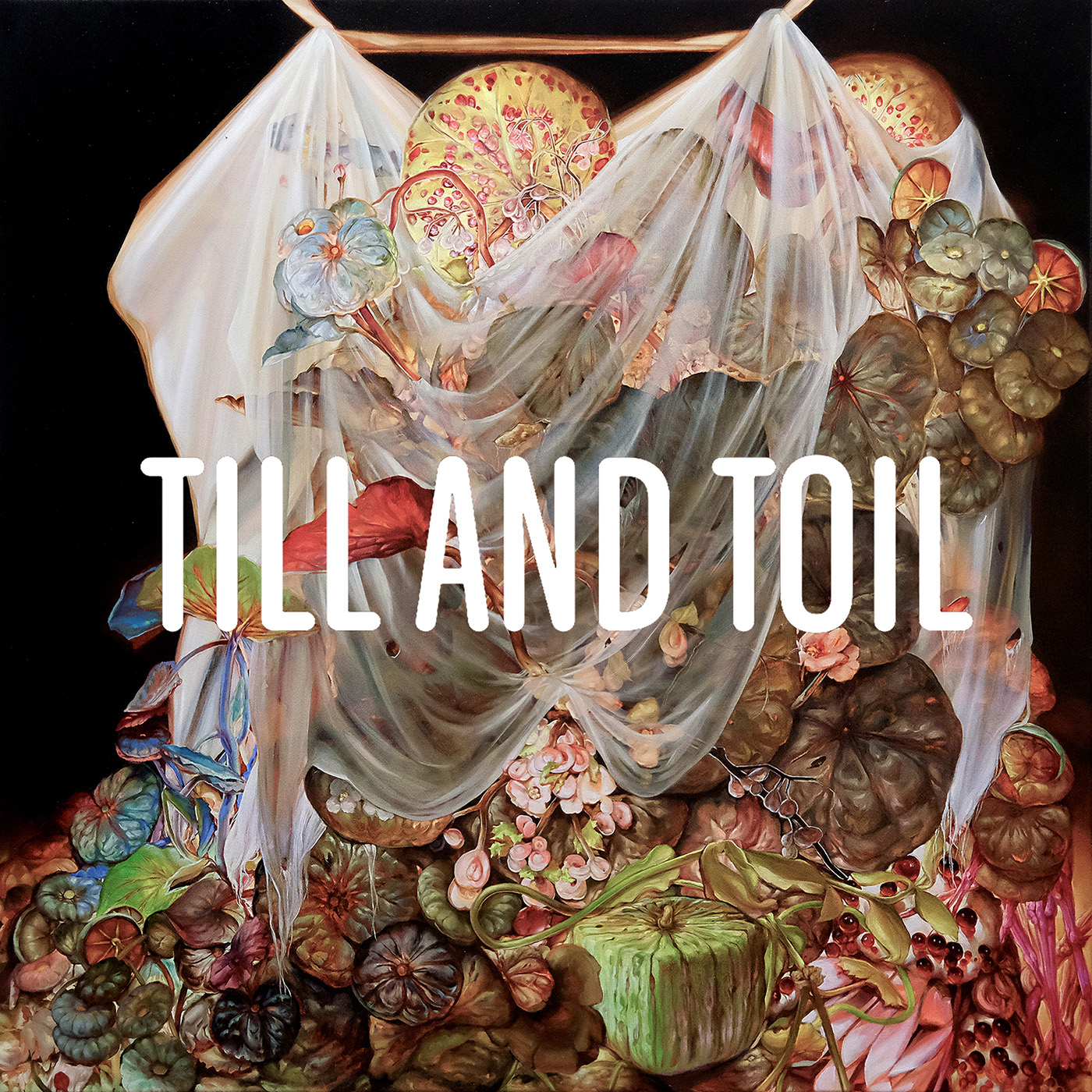 Till and Toil - 2026