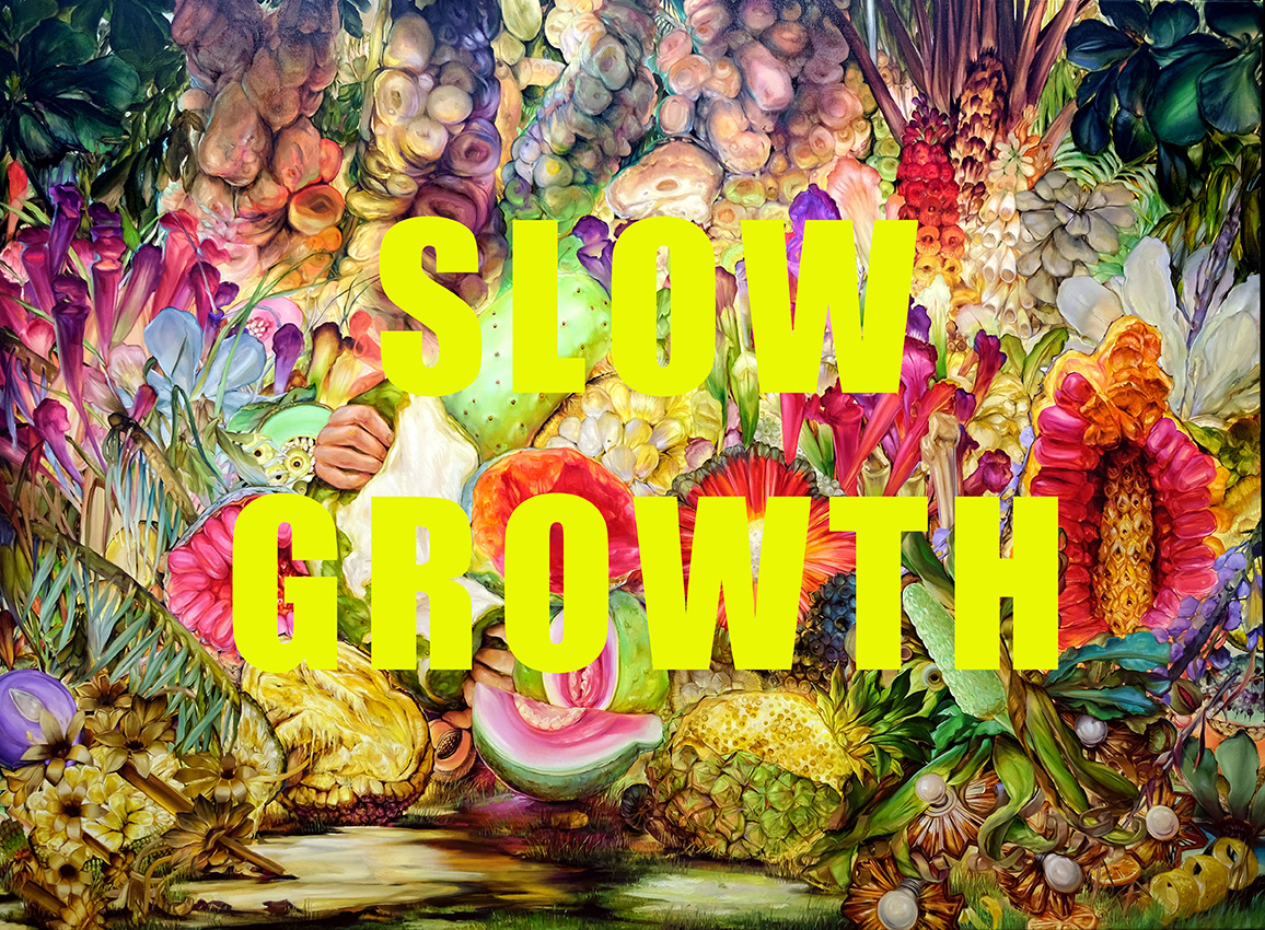 Slow Growth solo exhibition 2024